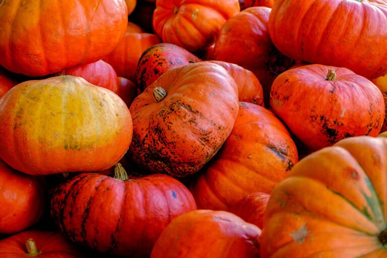 Mini orange pumpkins stacked on top of each other.