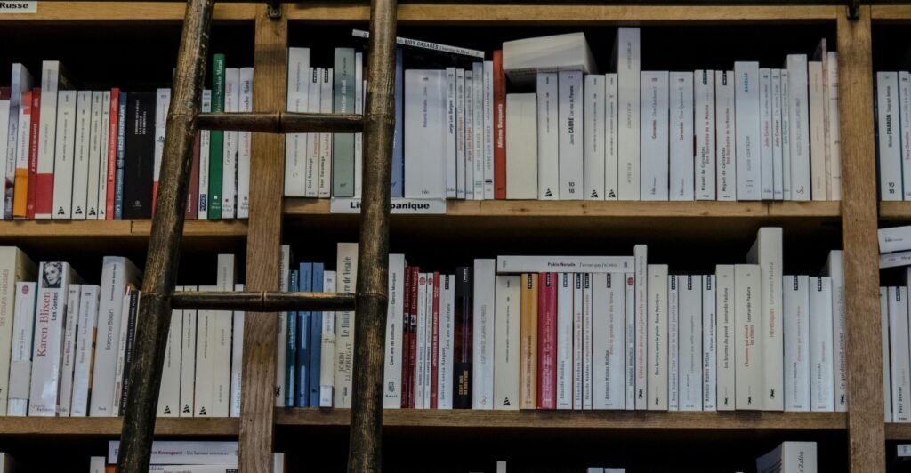 Two wooden bookshelves full of miscellaneous white books, most lay flush with each other horizontally but some lay stacked on top of them. A dark wooden ladder lays against the bookshelf.