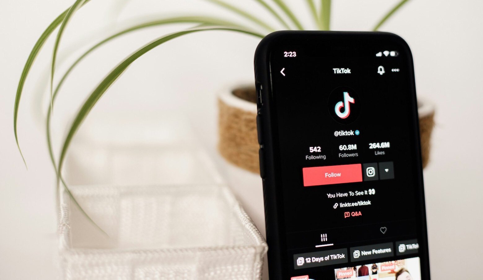 iPhone with TikTok app displayed, to represent social media marketing. Neutral white background with potted plant
